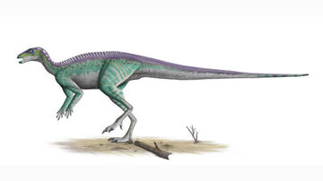 Parksosaurus2