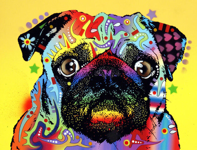 File:Pug-dean-russo.jpg