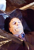 Richard hillman dead