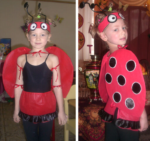 File:Ladybug-pashka.jpg
