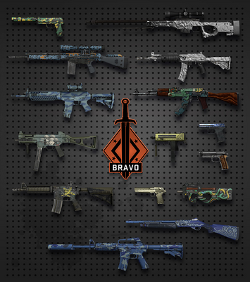 Slide bravo-1-.png