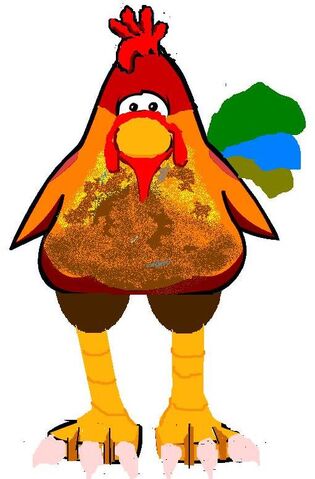 File:Artic Cock.jpg