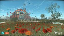 Gerbera garden.jpg