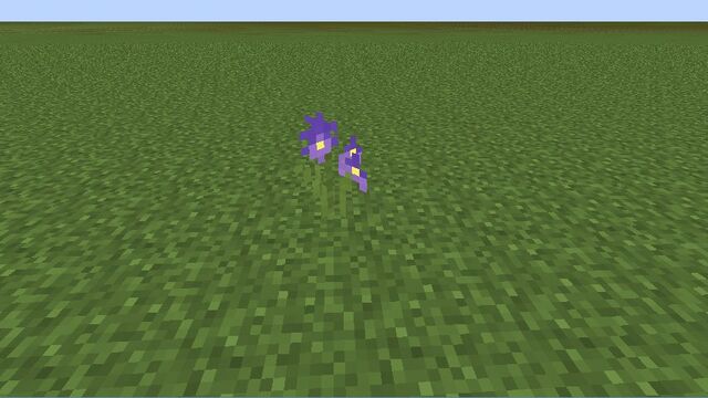 Plik:Purple Iris.jpg
