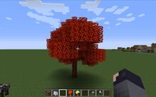 Vermillion Autumn