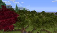 Woodlands.jpg