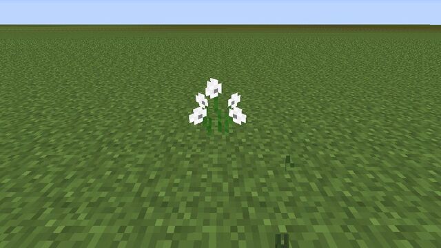Plik:Dandelion.jpg