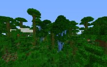 Extrajungle.jpg
