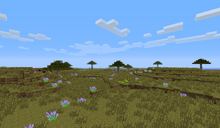 Savanna.png