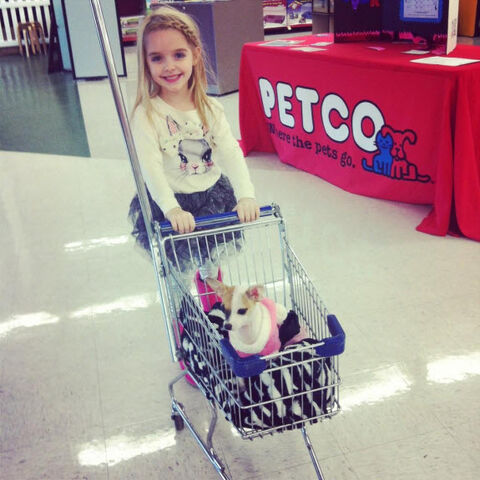 File:Mckenna-grace-dog-december-29-2012-1.jpg
