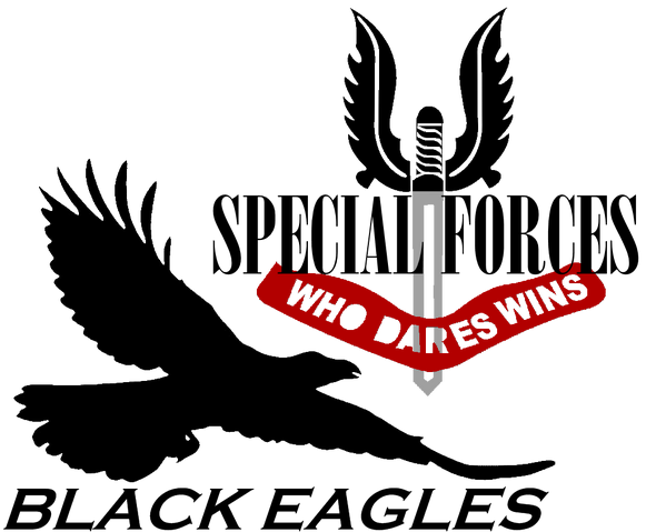 File:Black Eagles Logo 2.png