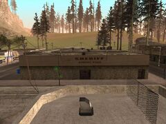 Pine pd.jpg