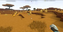 Creativerse Savannah00112