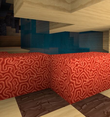 File:Coral.jpg