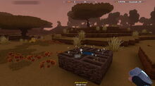 Creativerse crops in Savannah82