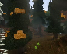 Creativerse Beehives on Elderwood100