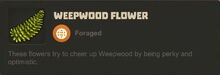 Creativerse Weepwood Flower100