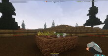Creativerse crops in tundra12