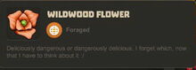 Creativerse Flowers Wildwood