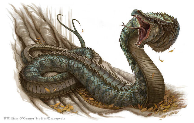 File:Kordine Wyrm.jpg