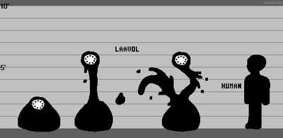 Laavol Lineup