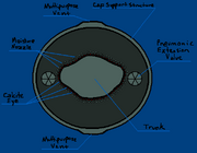 Zhivysh Cap Underside