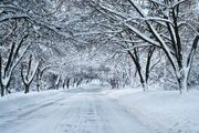 Snowy