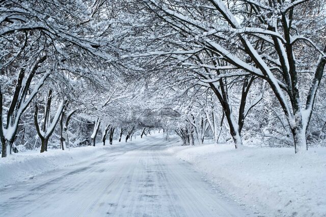File:Snowy.jpg
