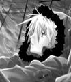 Thumbnail for version as of 21:49, March 22, 2011