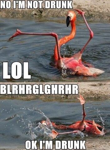 File:Drunk-MEME.jpg