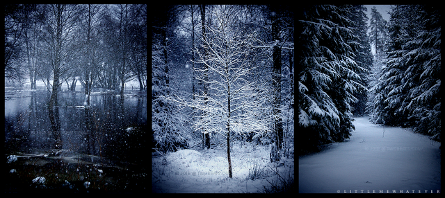 File:Winter.png