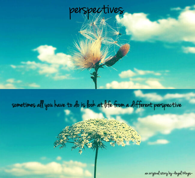 Perspectives