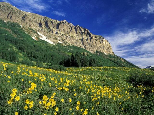 File:Meadow.jpg