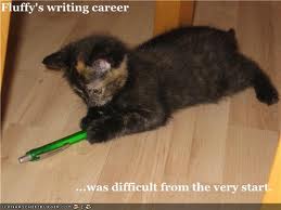 File:Fluffy career.jpg