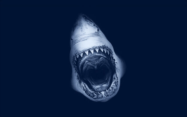File:Shark-attack-art.jpg