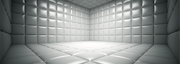 Padded room