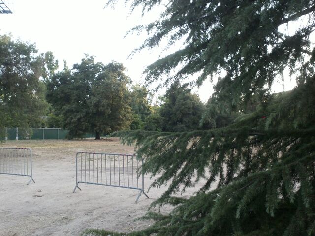 File:Pic6.jpg