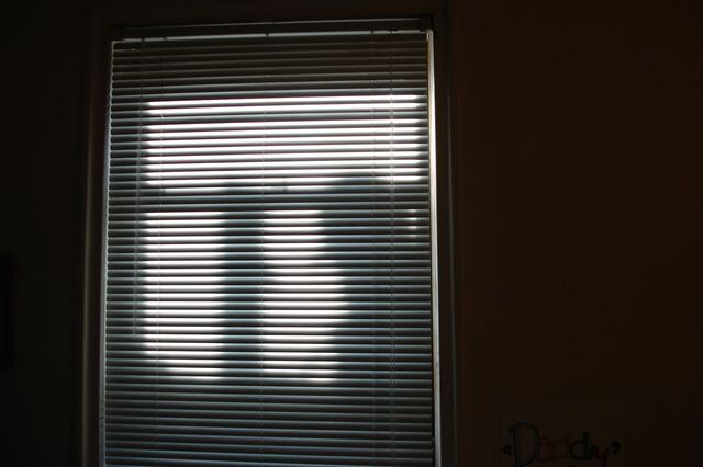 File:Window2.jpg