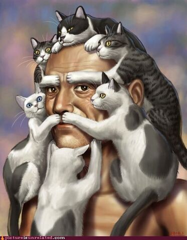 File:Wtf-photos-videos-cat-face-man.jpg
