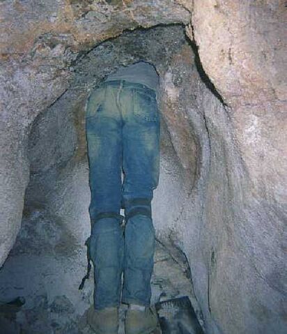 File:Buttshot.jpg