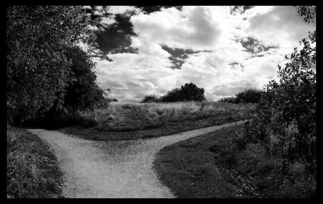 File:BWroadfork.jpg