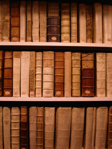 File:Bookshelf.jpg