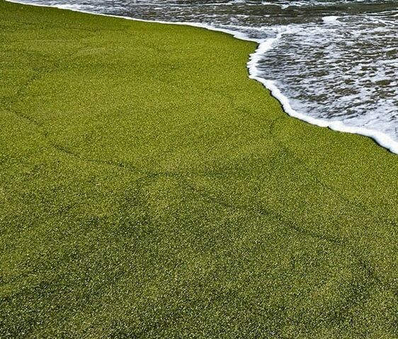File:Papakolea-beach-1-3-.jpg