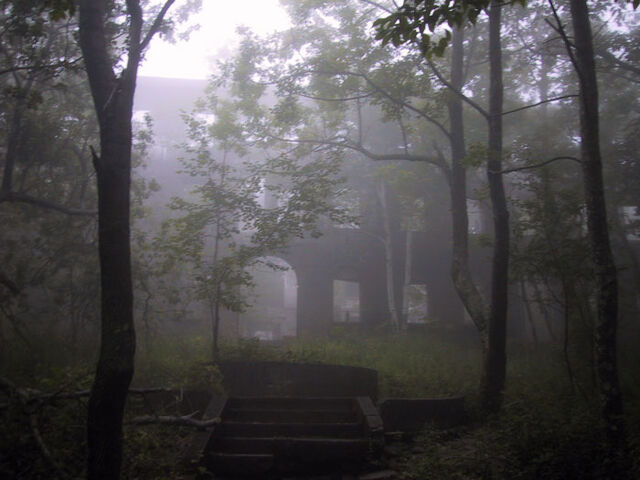 File:Pshot11.jpg