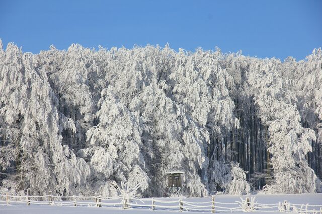 Datei:Winter-196339 1920.jpg