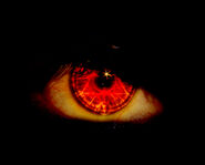 EvilEye