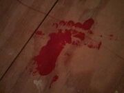 Footprint