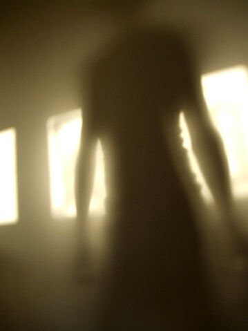 Datei:Schatten.jpg