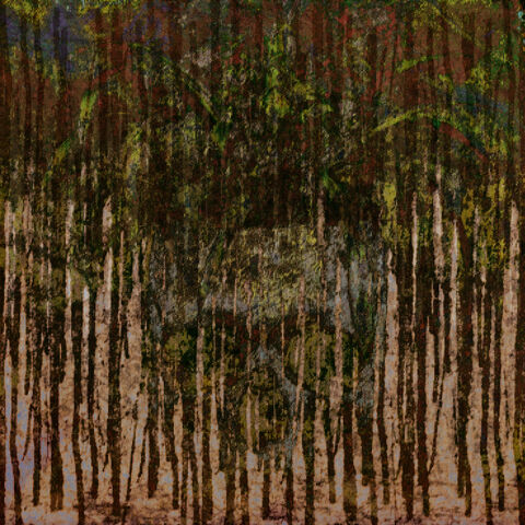 File:Rot.jpg
