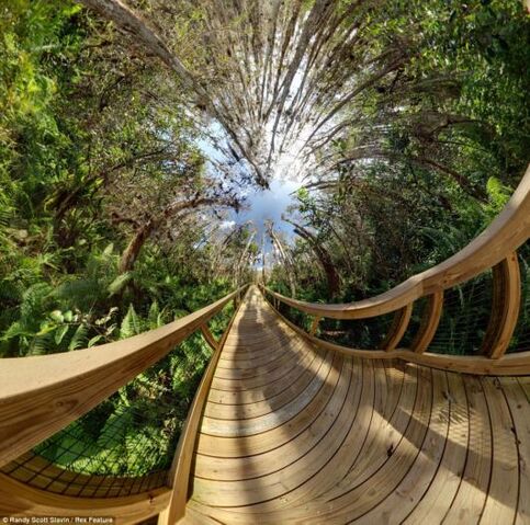 File:Fish eye lens 06.jpg